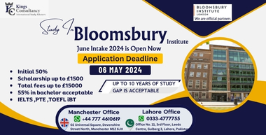 Bloomsbury Institute